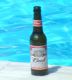 Bilde av Budweiser.