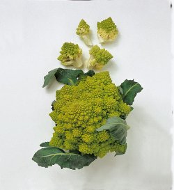Bilde av Romanesco. Bilde av Romanesco.