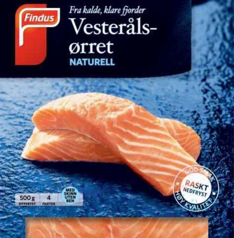 Bilde av Findus Vesterålsørret. Bilde av Findus Vesterålsørret.