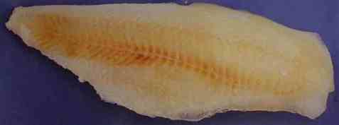 Bilde av Møremat lutefiskfilet torsk uten skinn og bein. Bilde av Møremat lutefiskfilet torsk uten skinn og bein.