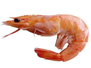 Nå er snart rekene på sitt beste