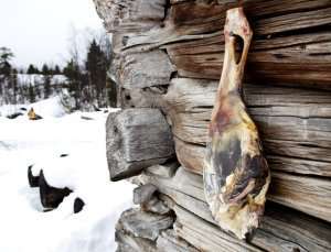 Tre norske matskatter får Beskyttet betegnelse