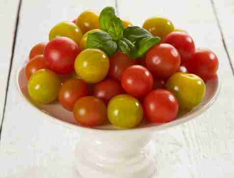Tomaten - den røde rubin