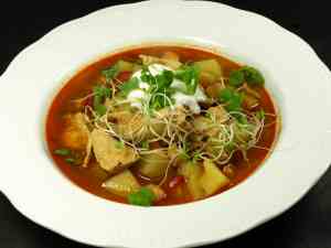 Krydret indisk kyllingsuppe