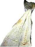 Klippfisk i skuddet! Klippfisk i skuddet!