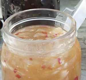 Chutney, eksotisk snadder.