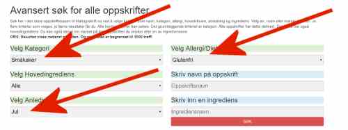 Avansert søk