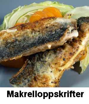 Makrell.