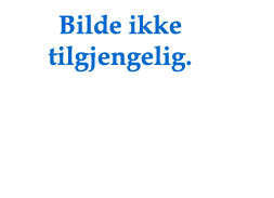Prøv også Ratatouille 6.