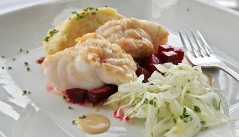 Breiflabb med fennikelsalat oppskrift.