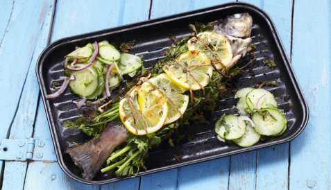 Helgrillet ishavsrøye med spicy agurksalat oppskrift.