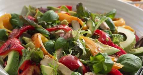 Avokadosalat med kyllingbryst oppskrift.