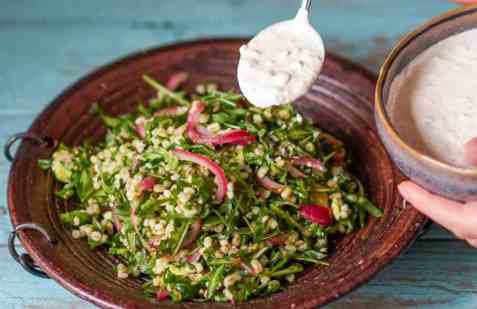 Byggrynsalat med cottage cheese-dressing oppskrift.
