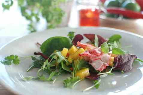 LobNobs og mango salat oppskrift.