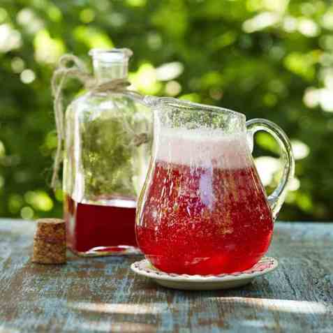 Plommesaft 2 oppskrift.
