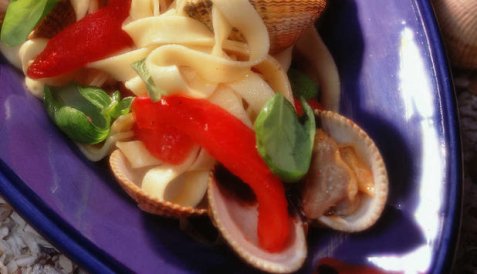 Hjerteskjell med pasta og tomater oppskrift.